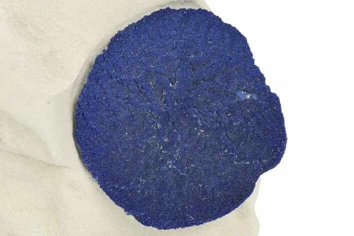 Vibrant Blue Azurite Sun on Siltstone - Australia #217952